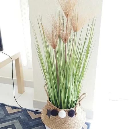 Palmera En * 코밀라스