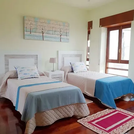 Palmera En